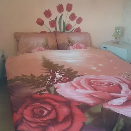 Dom Pod Roza Apartment Lesna Room photo
