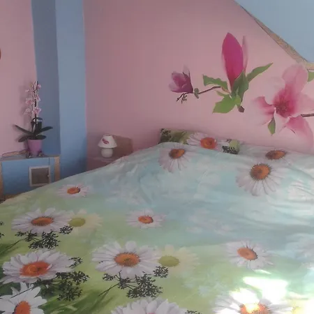 Dom Pod Roza Apartment Lesna Room photo