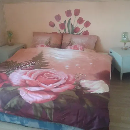 Dom Pod Roza Apartment Lesna Room photo