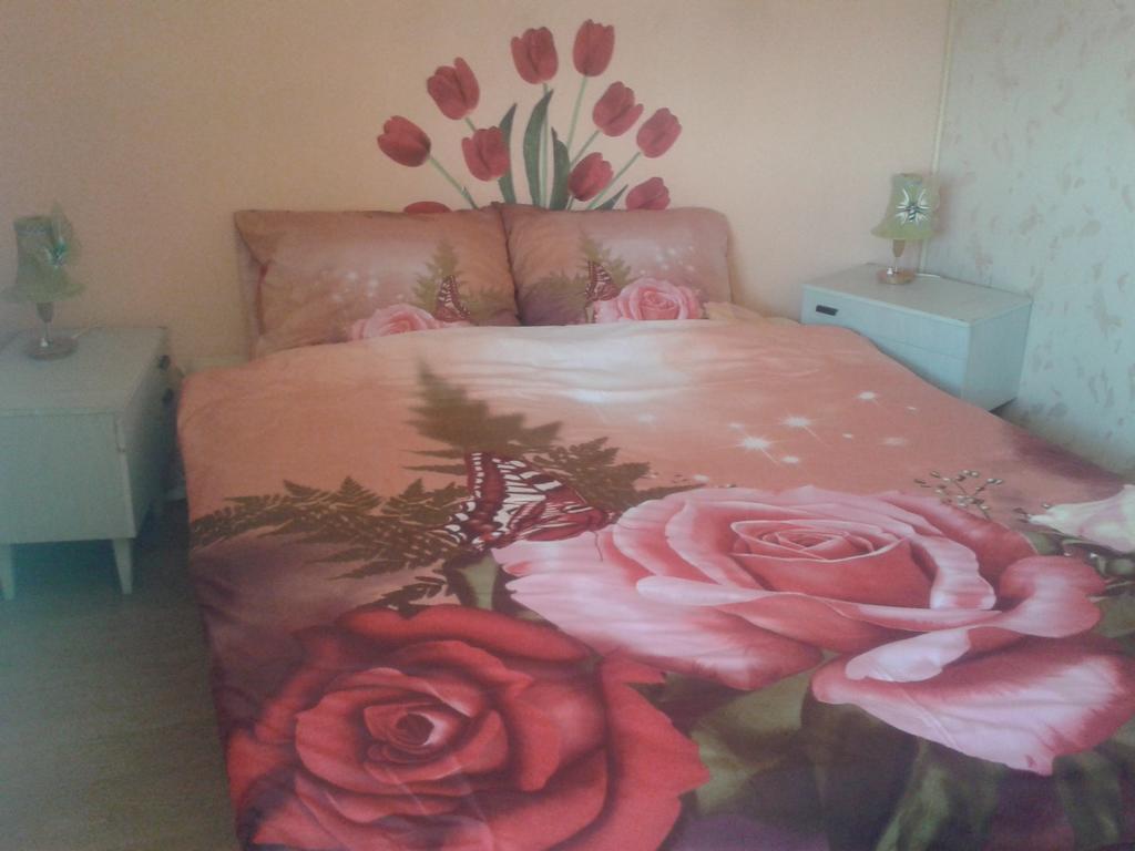 Homestay Dom Pod Roza *
