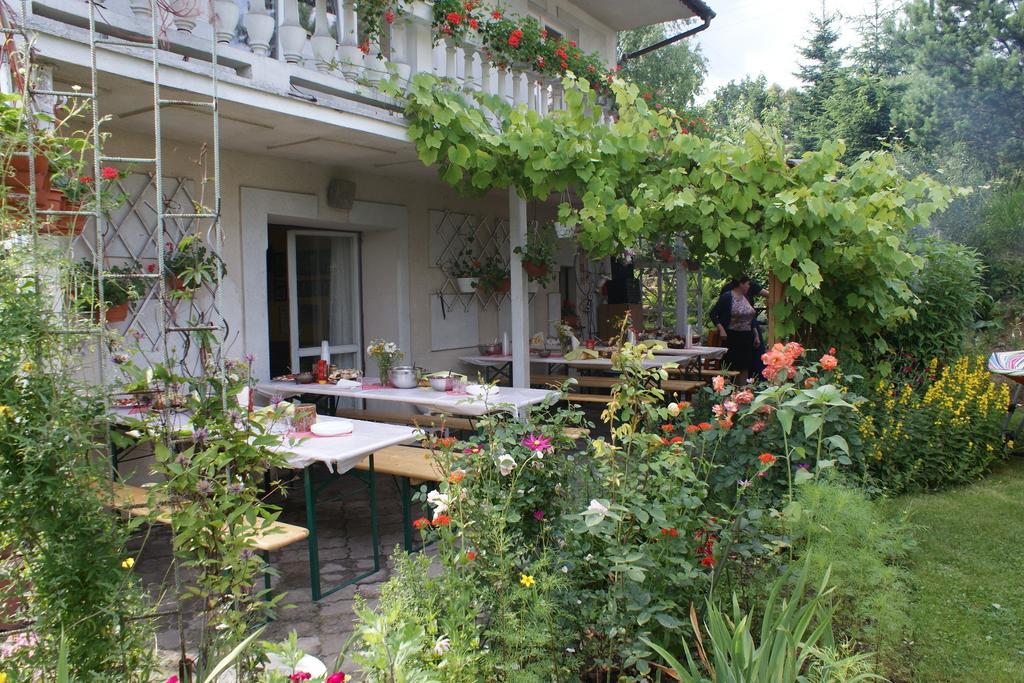 Dom Pod Roza Homestay Lesna